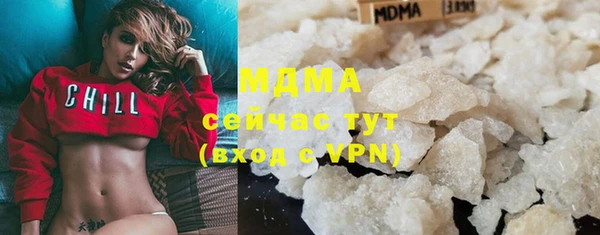 шишки Мегион