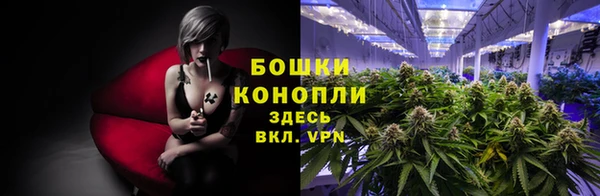 шишки Мегион
