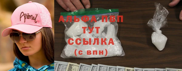 шишки Мегион