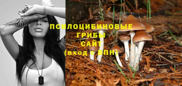 гашишное масло Медногорск