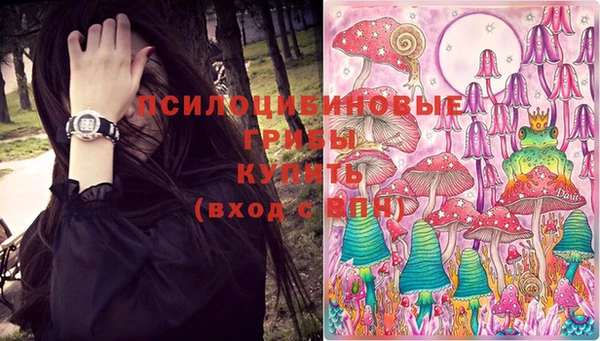 шишки Мегион