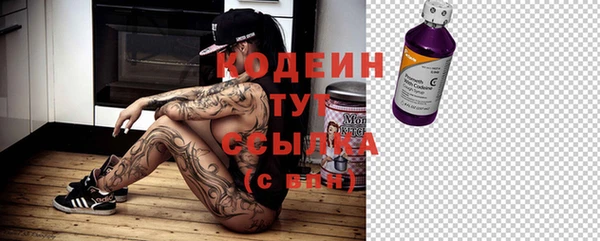 стаф Медвежьегорск