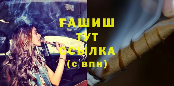 шишки Мегион