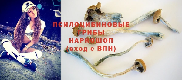 шишки Мегион