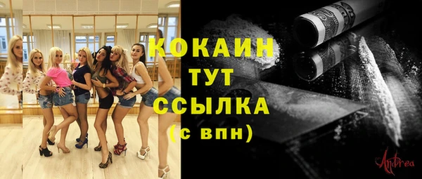 стаф Медвежьегорск