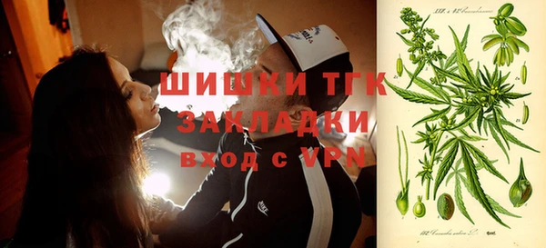 шишки Мегион
