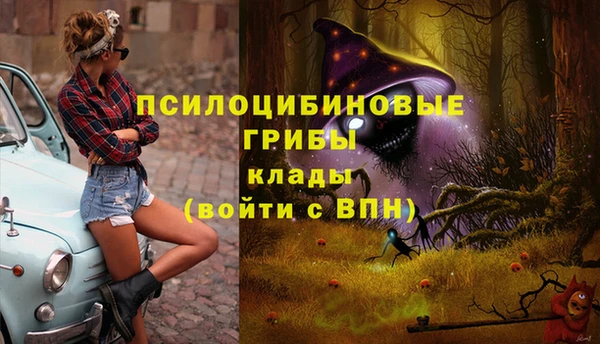 стаф Медвежьегорск