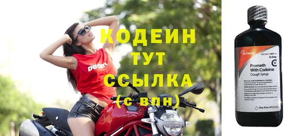 шишки Мегион