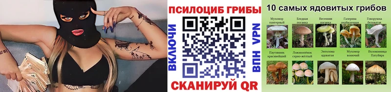 Галлюциногенные грибы прущие грибы Тбилисская
